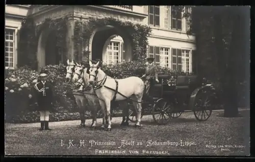 AK Prinzessin Adolf von Schaumburg-Lippe mit Hund in einer Pferdekutsche