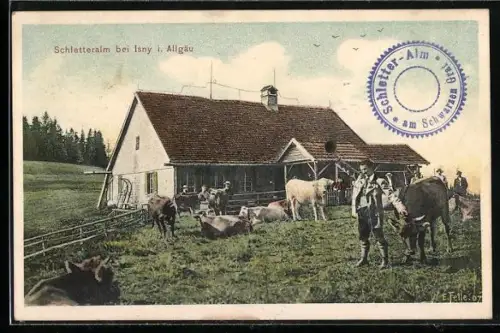 Künstler-AK Eugen Felle: Isny i. Allgäu, Kühe auf der Schletteralm am Schwarzen Grat