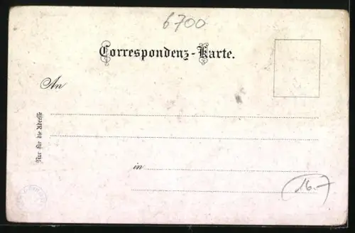 Lithographie Bludenz, Ortsansicht von oben, Lünersee, Brand, Blumen