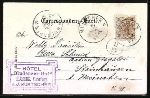 Lithographie Bludenz, Ortsansicht von oben, Lünersee, Brand, Blumen