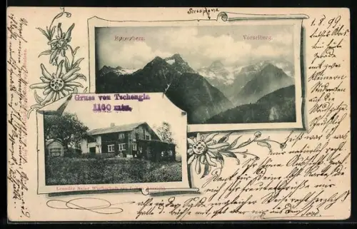 AK Tschengla /Vorarlberg, Gasthaus zur frohen Aussicht von Leander Neier, Bergpanorama