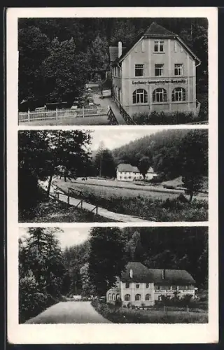 AK Bad Schandau, Gasthof zur Bockmühle K. Krehhahn mit Umgebung