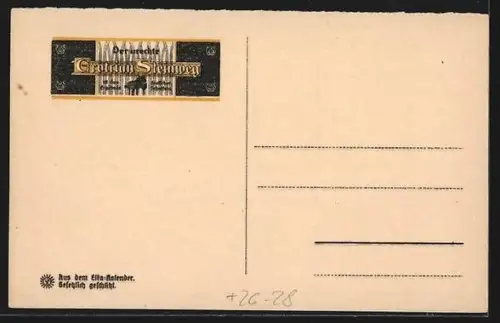 Steindruck-AK Braunschweig, Spaziergänger am Schloss