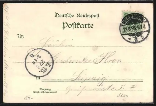 Lithographie Hildesheim, Andreasplatz, 1000 jähr. Rosenstock