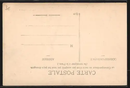 AK Peyrehorade /Landes, Vue du Château