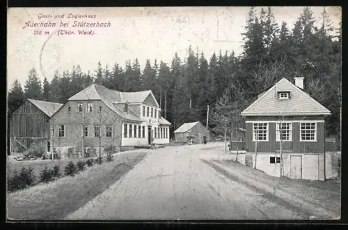 AK Stützerbach /Thür. Wald, Gast- und Logierhaus Auerhahn