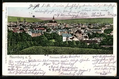 Goldfenster-AK Naumburg a. S., Panorama mit Kirche
