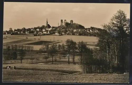 AK Stolpen, Panorama mit Feldern