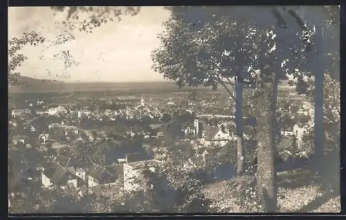 AK Dornbirn, Ortsansicht vom Zanzenberg