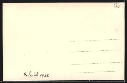 AK Bludenz, Totalansicht mit Alpenpanorama