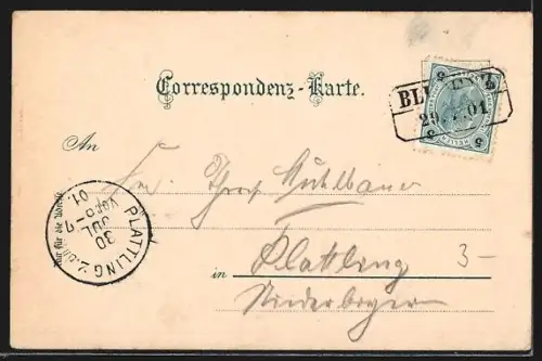 AK Bludenz, Totalansicht des Ortes mit Gebirgspanorama