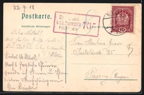 AK Bludenz, Ortsansicht vom Bürserberg