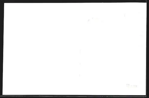 AK Bludenz /Vlbg., Seilschwebebahn Bürserbg-Tschengla, Blick v. d. Endstation gegen Bludenz