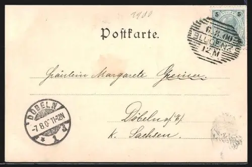 AK Bludenz, Blick vom Bürsenberg auf den Ort