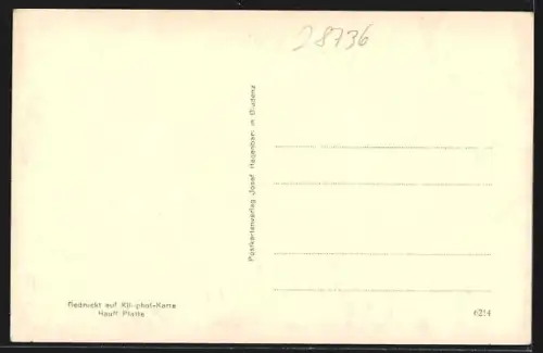 AK Bürs, Ortsansicht aus der Vogelschau
