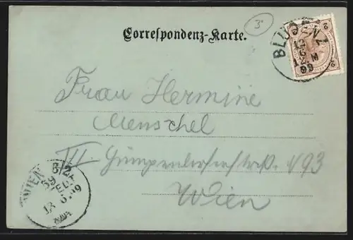 Mondschein-AK Bludenz, Ortsansicht aus der Vogelschau