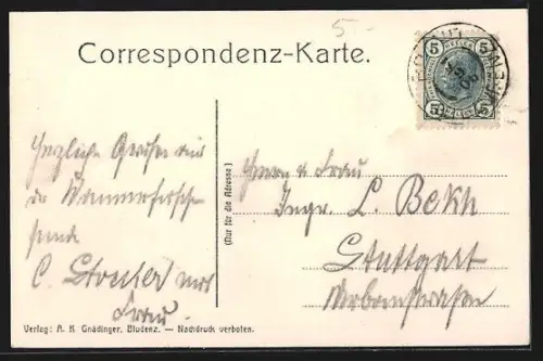 AK Bürs, Partie in der Bürser Schlucht