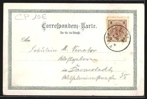 Lithographie Salzburg, Blick auf die Stadt, Passepartout mit Blumen