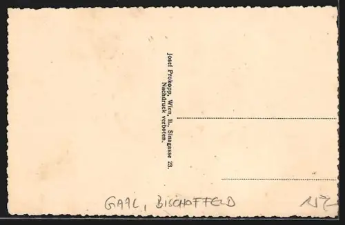 AK Gaal, Bischoffeld, Totalansicht mit Bergpanorama