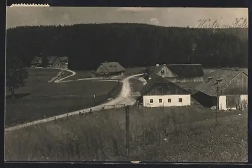 Foto-AK Puchenstuben, Wastl am Walde, Ortsansicht mit Umgebung
