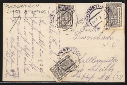 Foto-AK Puchenstuben, Wastl am Walde, Ortsansicht mit Umgebung