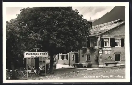 AK Bürserberg, Gasthaus zur Gemse K. Hartmann, mit Garteneingang