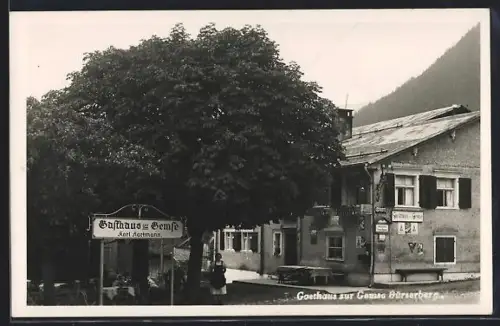 AK Bürserberg, Gasthaus zur Gemse K. Hartmann, Ansicht mit Garteneingang