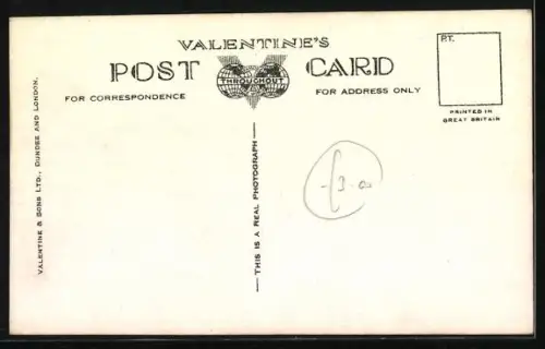 AK Flugzeug Curtiss P-40 Pursuit Fighter Planes