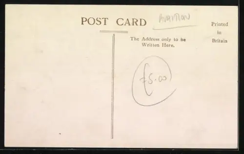 AK Daily Mail Waterplane Tour 1912, Henry Farman Waterplane, Wasserflugzeug