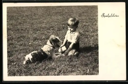 AK Junge spielt mit Terrier auf einer Wiese