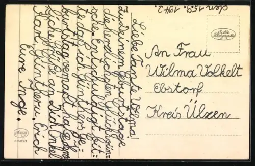 AK Junge spielt mit Terrier auf einer Wiese