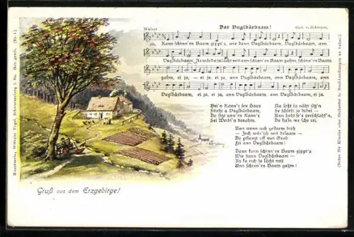 AK Lied Dar Vuglbärbaam!, Partie im Erzgebirge
