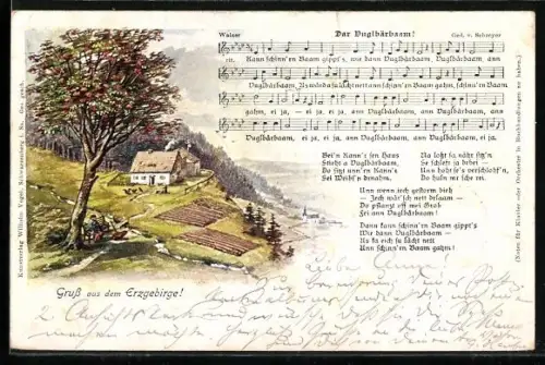 AK Lied Dar Vuglbärbaam Mann auf einer Bank unter einem Baum