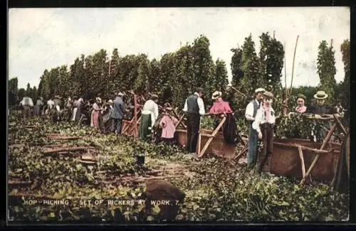 Künstler-AK Hop Picking, Set of Pickers at work, Bauern ernten Hopfen
