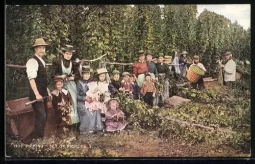 AK Hop-Picking, Set of Pickers, Arbeiter bei der Hopfen-Ernte