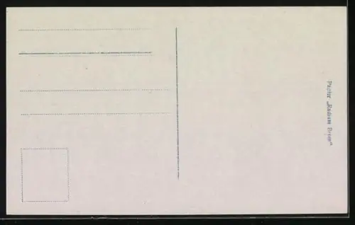 AK Prinz Wilhelm spannt eine Leine im Garten