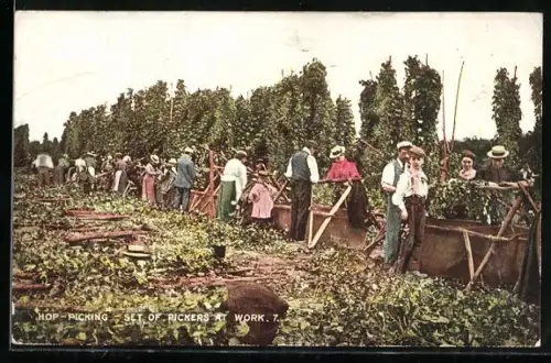 Künstler-AK Hop Picking, Set of Pickers at work, Bauern ernten Hopfen
