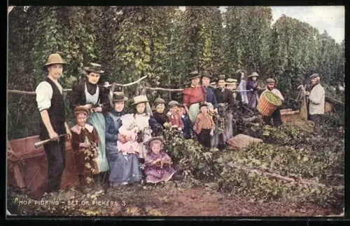 AK Hop-Picking, Set of Pickers, Arbeiter bei der Hopfen-Ernte
