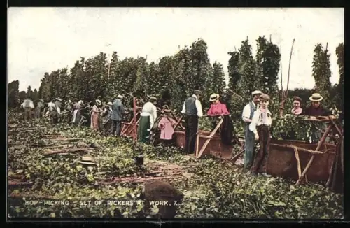 Künstler-AK Hop Picking, Set of Pickers at work, Bauern ernten Hopfen