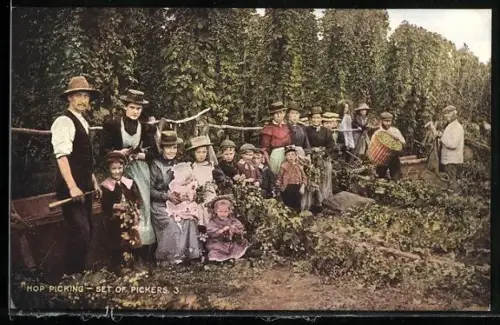 AK Hop-Picking, Set of Pickers, Arbeiter bei der Hopfen-Ernte