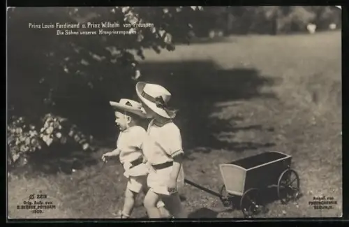 AK Prinz Louis Ferdinand und Prinz Wilhelm von Preussen mit kleinem Bollerwagen