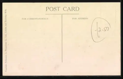 AK London, At the Zoo, Sea Lions, Seelöwen