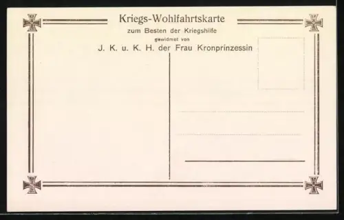 AK Die Söhne unseres Kronprinzen Wilhelm von Preussen in Feldgrau