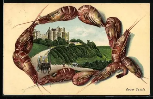 Passepartout-Lithographie Dover, View of the Castle, Schalentieren-Rahmen