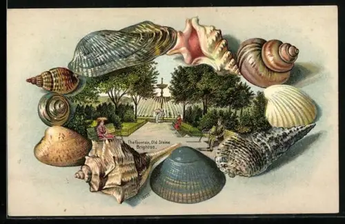 Passepartout-Lithographie Brighton, The Fountain, Old Steine, Rahmen mit verschiedenen Muscheln