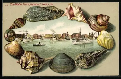 Passepartout-Lithographie Newport News, VA, The Water Front, Muschel-Passepartout