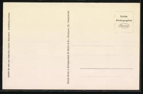 AK Friedrichshafen i. B., Graf Zeppelin in voller Fahrt, Flugzeugaufnahme