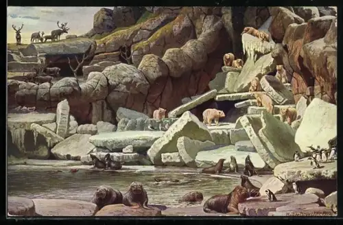 Künstler-AK Hamburg-Stellingen, Hagenbeck`s Tierpark, Nordland-Panorama