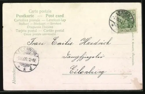 AK Zirkuspferde machen eine Figur