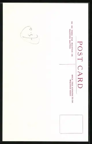 AK Simpson's in the Strand, The gentleman who asked the carver whether the meat was English or Foreign